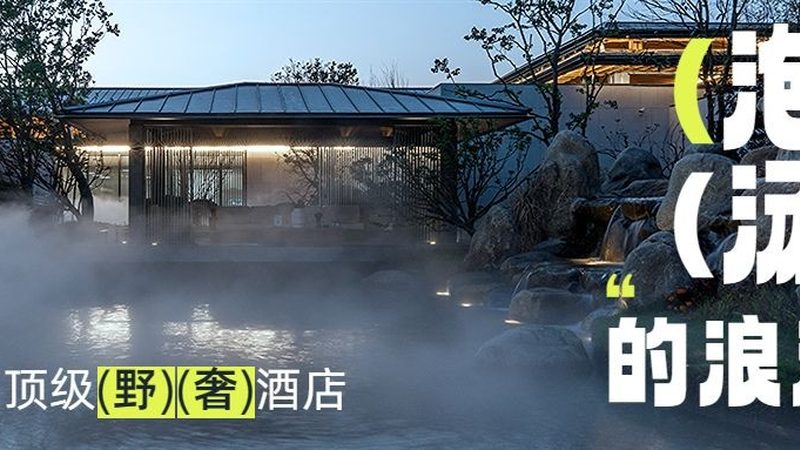 上海周边度假村宠物友好体验：如何选择与注意事项