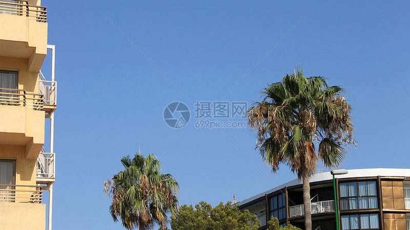 酒店管理系统的真实竞争：谁在前排，凭什么